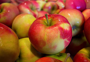 Чин освящения яблок и плодов нового урожая