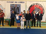 Турнир по самбо в память об учредителе поселка «Романовские дачи»