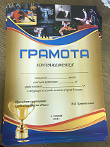 Турнир по самбо в память об учредителе поселка «Романовские дачи»