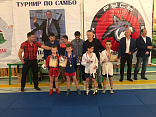 Турнир по самбо в память об учредителе поселка «Романовские дачи»