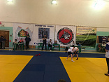 Турнир по самбо в память об учредителе поселка «Романовские дачи»