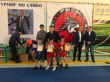 Турнир по самбо в память об учредителе поселка «Романовские дачи»